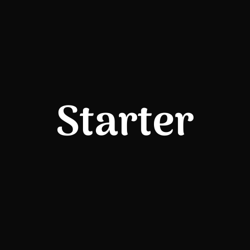 Starter Starter